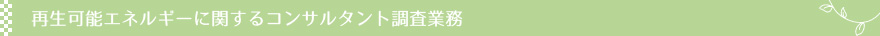 再生可能エネルギーに関するコンサルタント調査業務